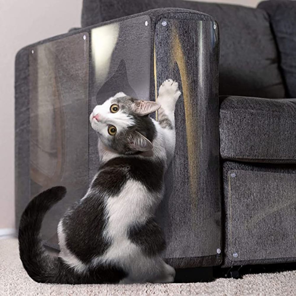 Transparent Furniture Protector