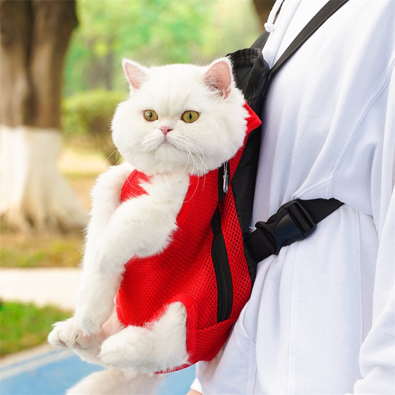 Pet Travel Leg-out Backpack🐶🐱Buy 2 Get FREE Shipping