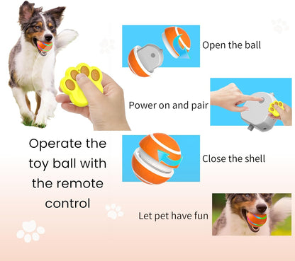 Smart Pet Play Ball with Remote Control