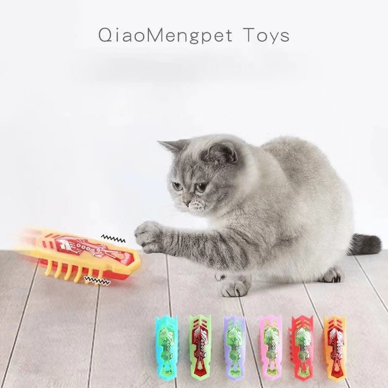 🐱Pet Electric Bug Toy🐞