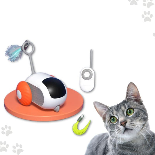 Crazy-Joy Car(Remote Control Electric Cat Toy)