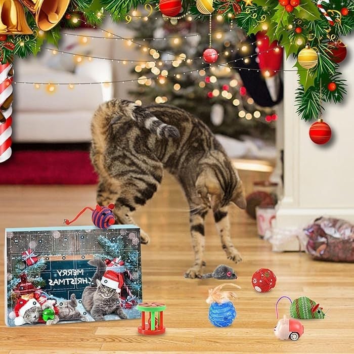 🔥LAST 48 HOURS 49% OFF - 🐱2024 CHRISTMAS COUNTDOWN CAT TOYS ADVENT CALENDAR