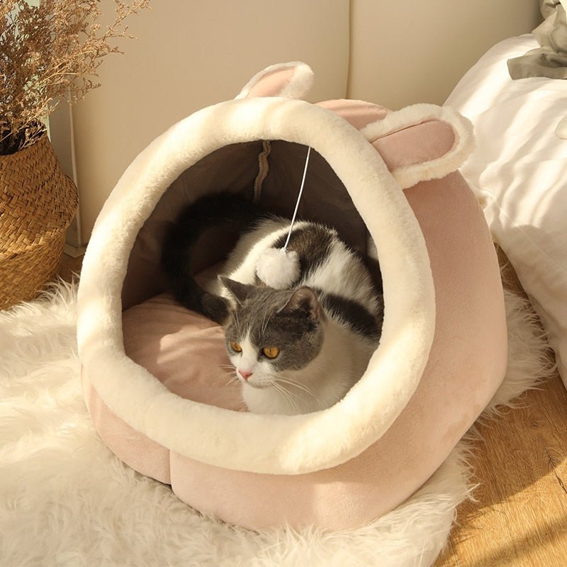 Cozy Cat Themed Beds