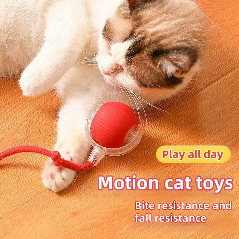 🔥This Week's Special Offer 49% OFF -2024 Automatic Interactive Pet Toys Ball