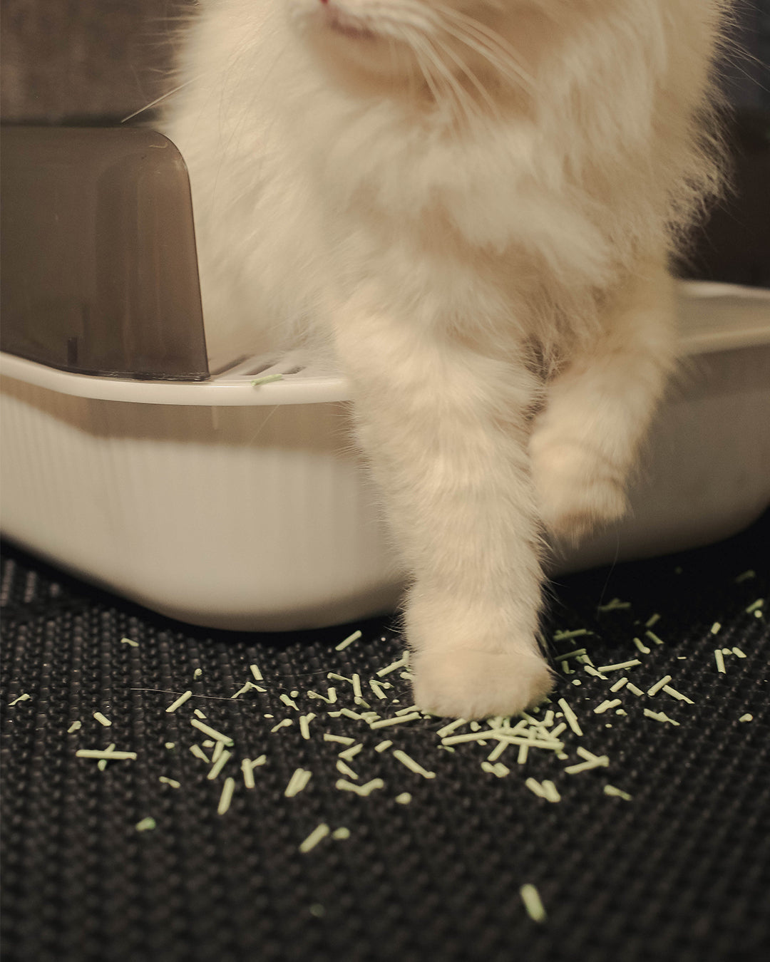 Celery Pets Cat Litter Mat